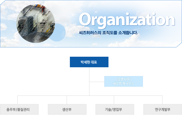 조직도